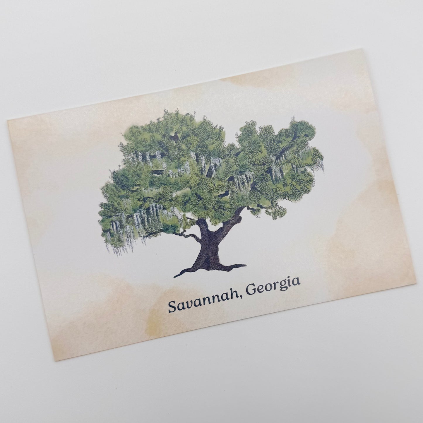 Live Oak Savannah Postcard
