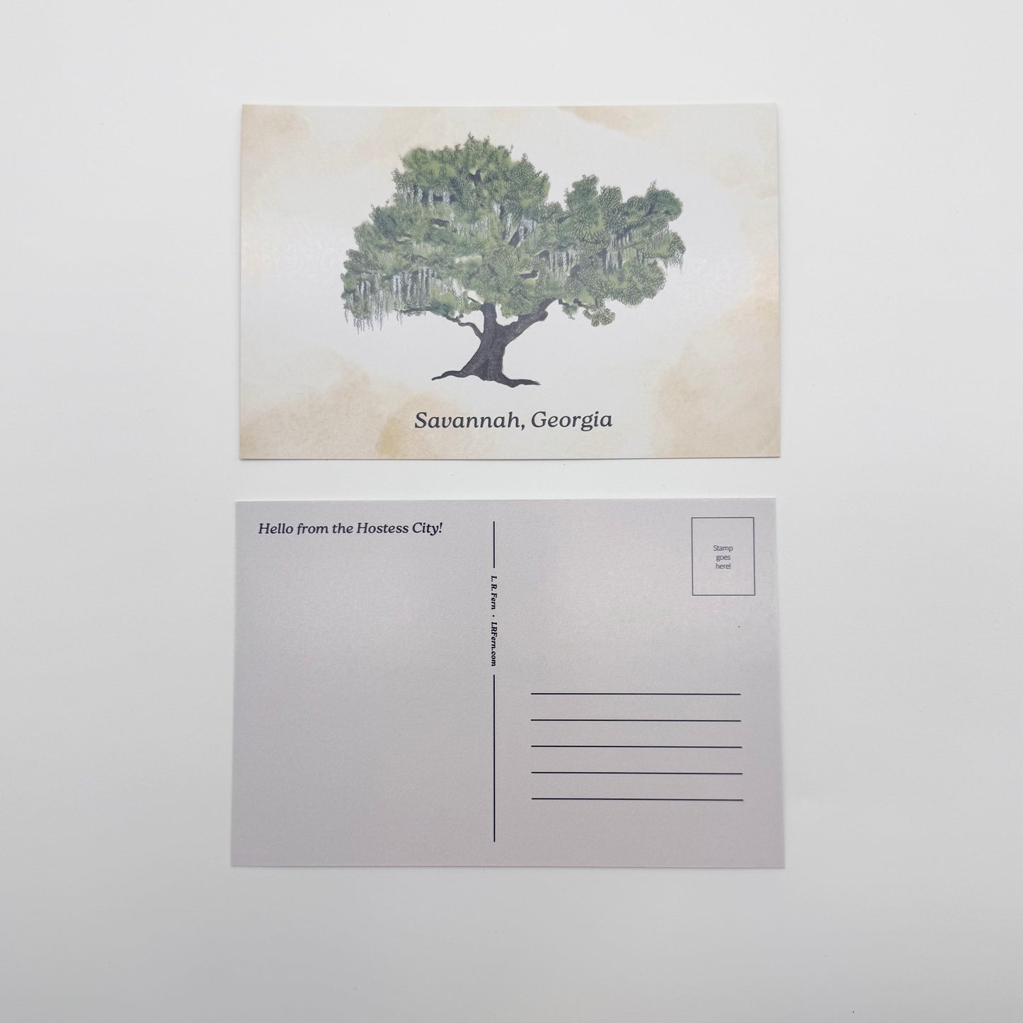 Live Oak Savannah Postcard