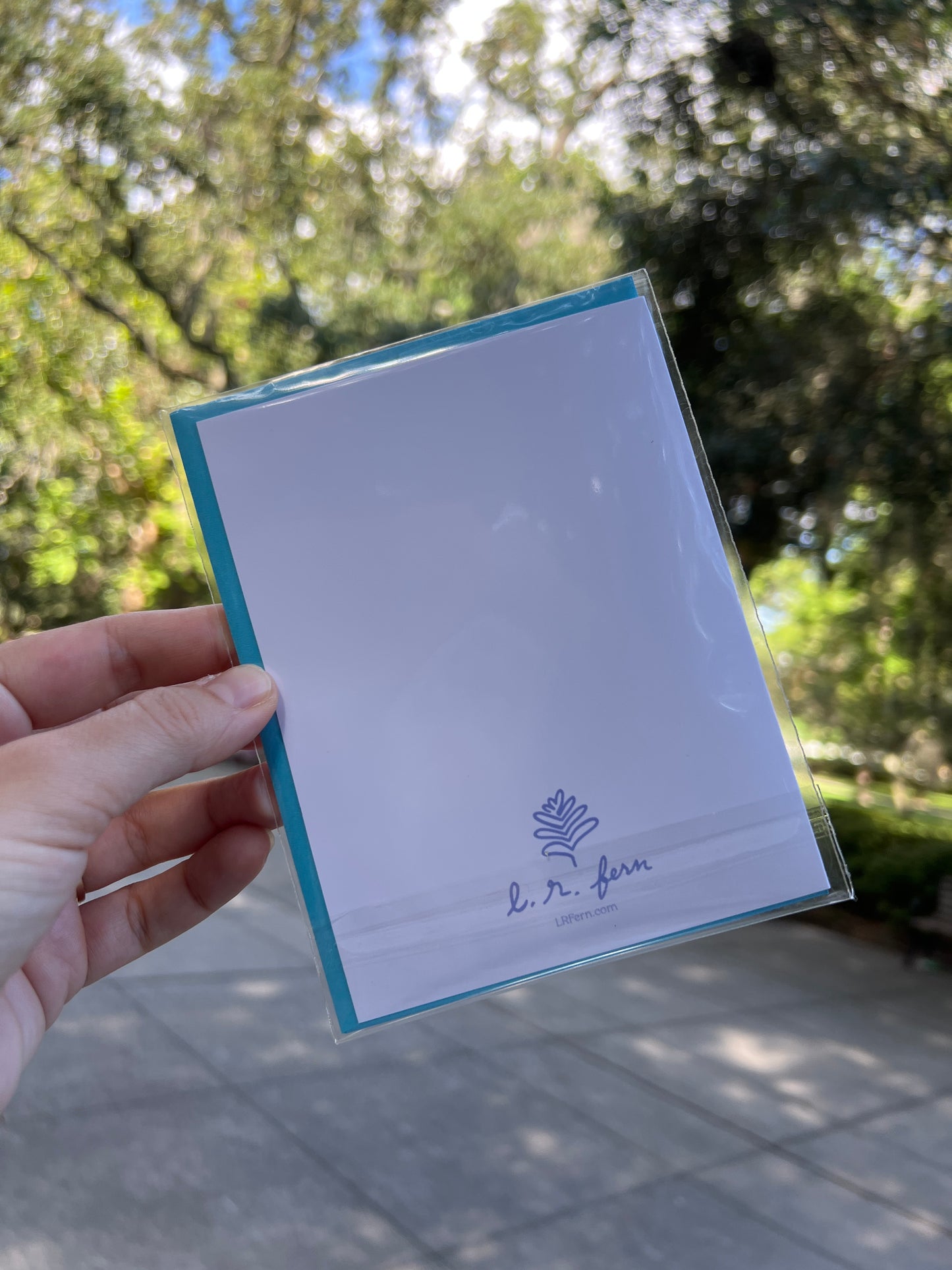 Savannah Script and Bows Greeting Card