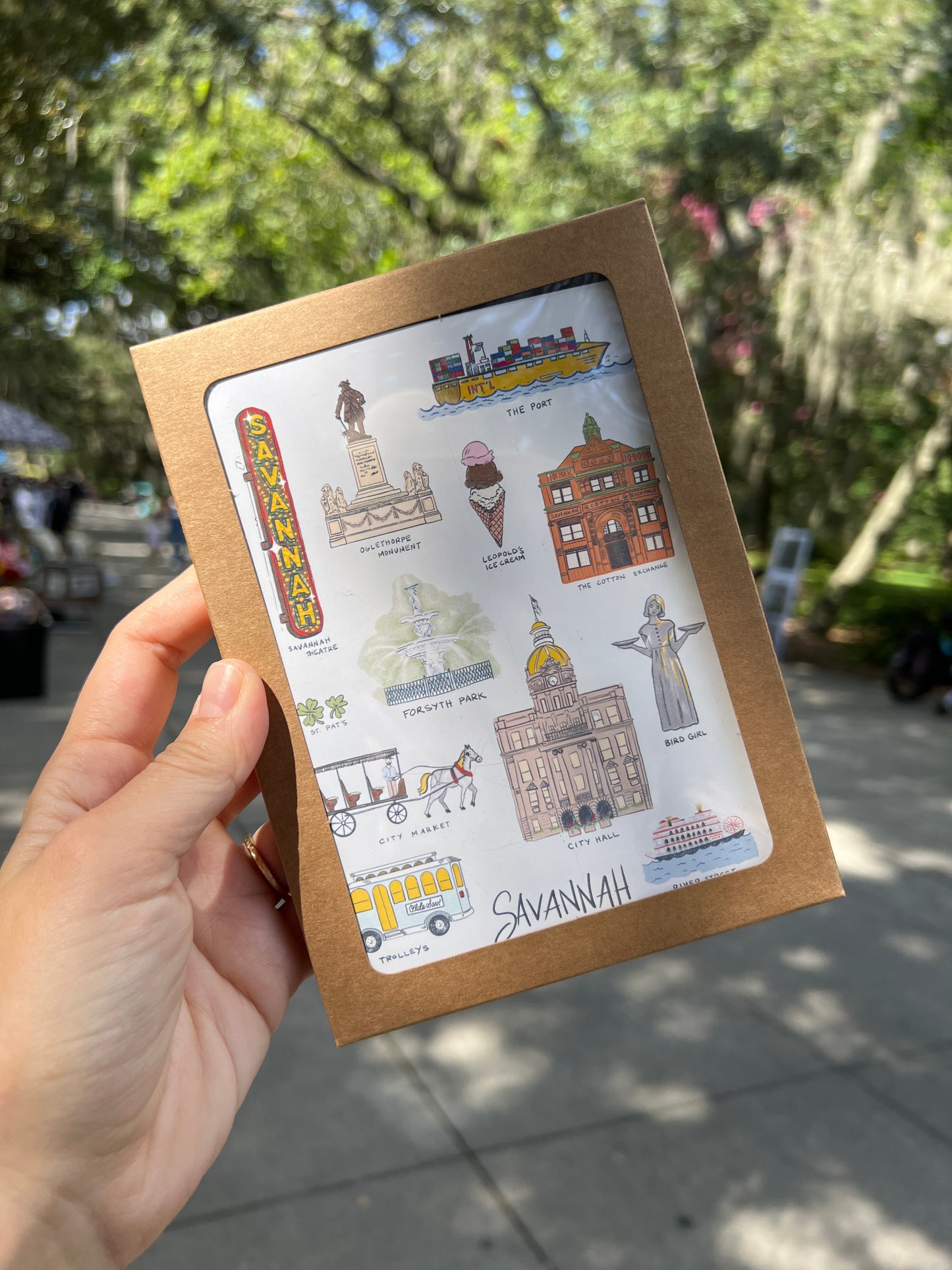 Savannah Sights 3-card Set