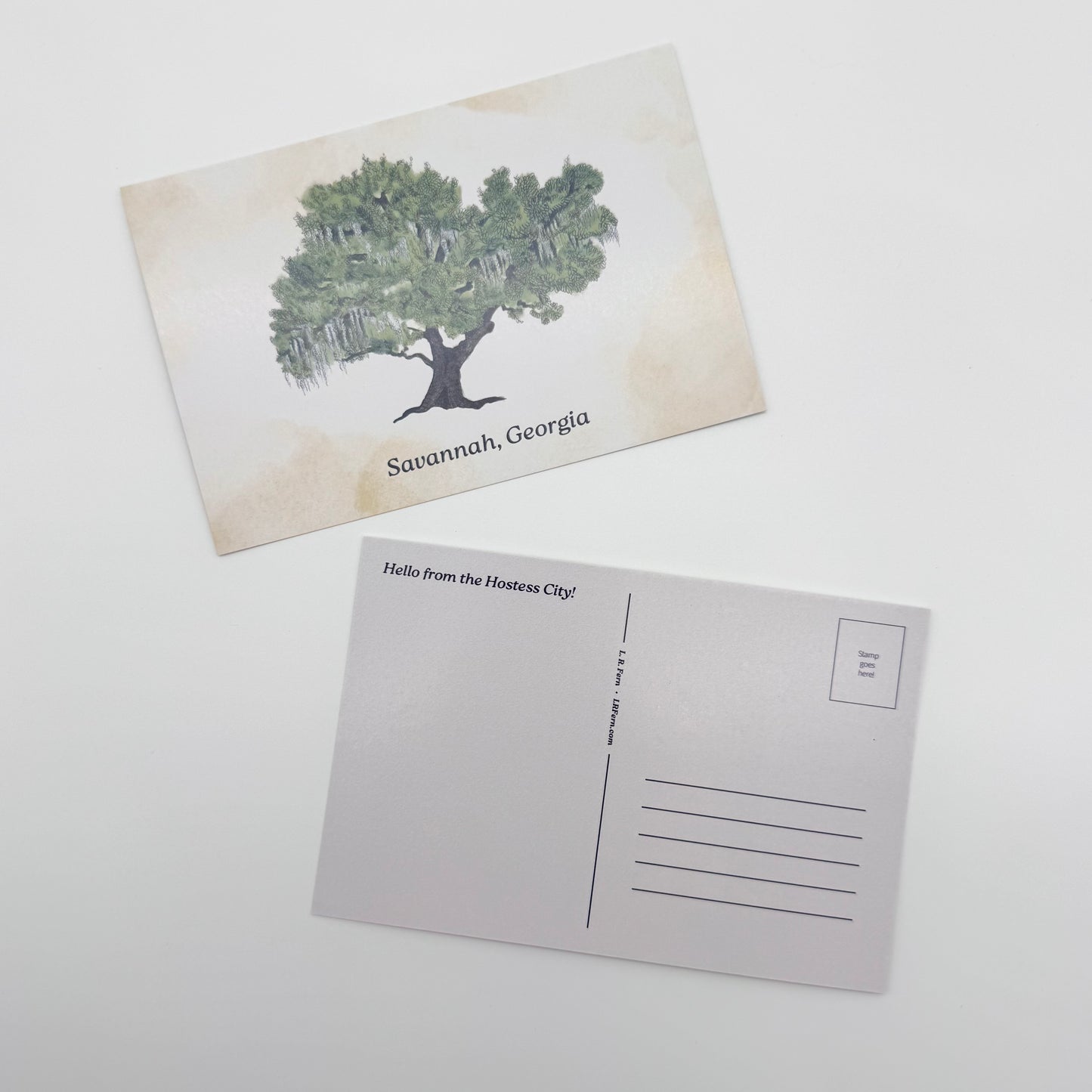 Live Oak Savannah Postcard