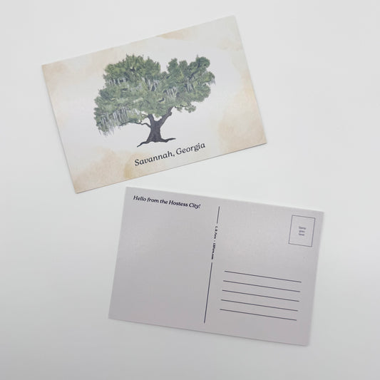 Live Oak Savannah Postcard