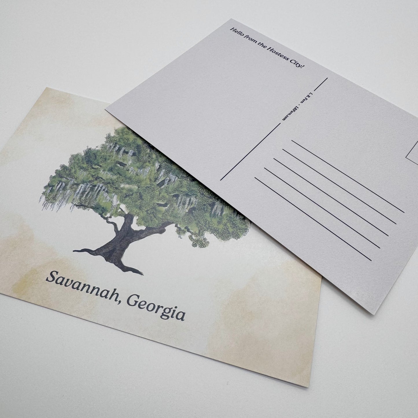 Live Oak Savannah Postcard