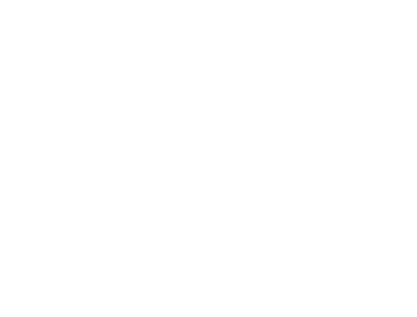 L. R. Fern